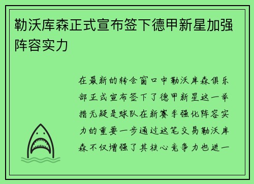 勒沃库森正式宣布签下德甲新星加强阵容实力 勒沃库森正式宣布签下德甲新星加强阵容实力