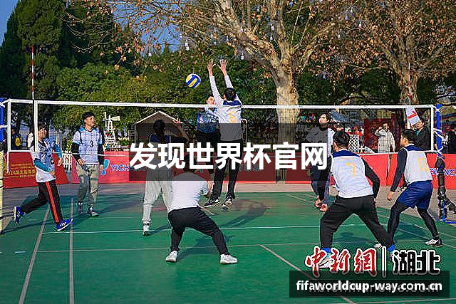 发现世界杯官网